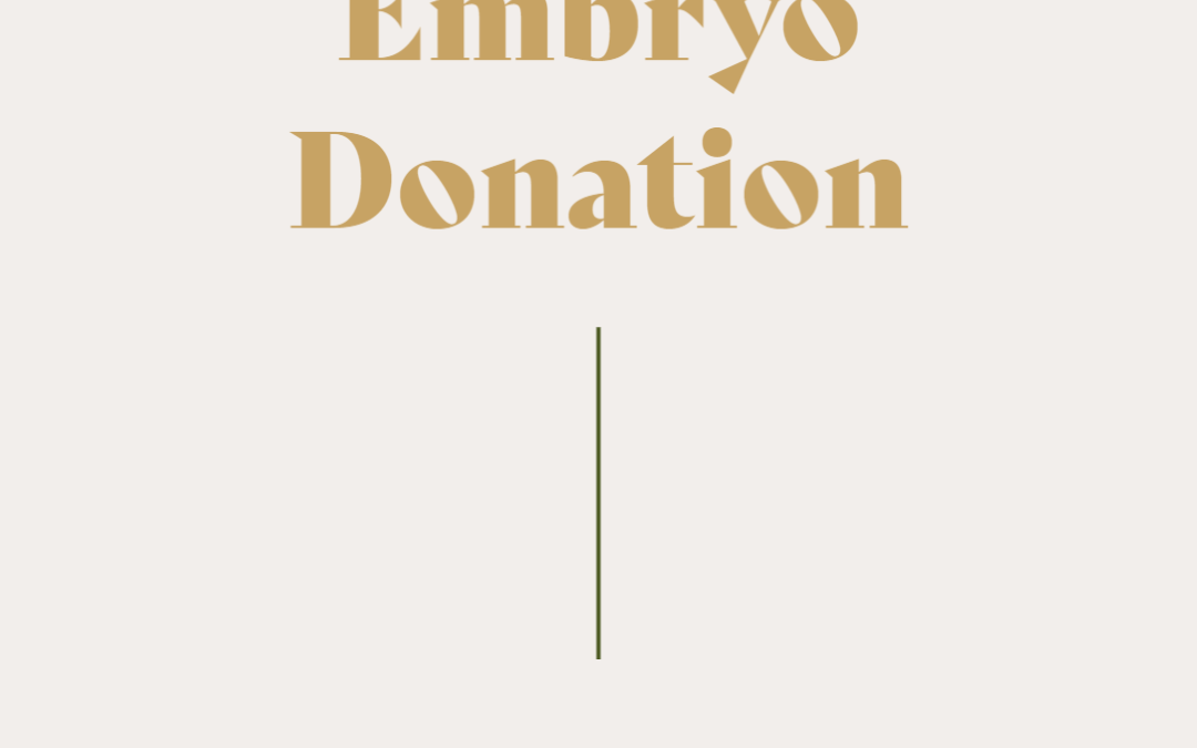 Embryo Donation: You have questions!