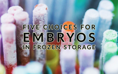 Five Choices for Embryos in Frozen Storage