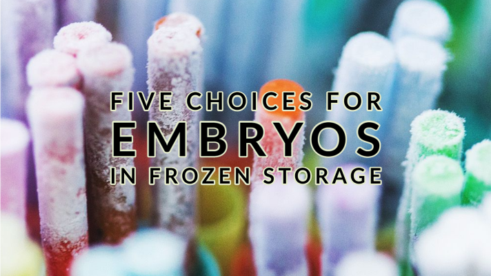 Five Choices for Embryos in Frozen Storage