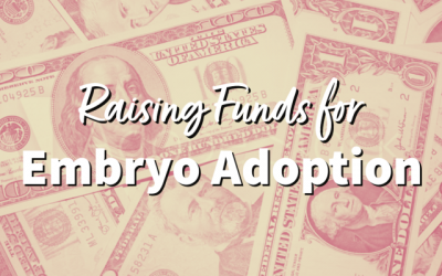 Raising Funds for Embryo Adoption