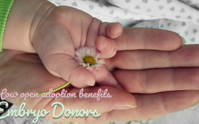 How Open Adoption Benefits Embryo Donor Families