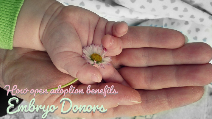 How Open Adoption Benefits Embryo Donor Families