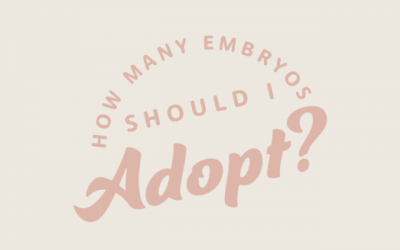 How Many Embryos Should I Adopt?