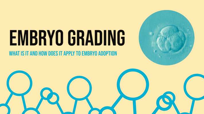 Embryo Grading: What is it and How it Applies to Embryo Adoption