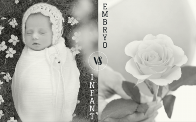 The Difference Between Infant Adoption and Embryo Adoption