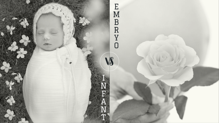 The Difference Between Infant Adoption and Embryo Adoption