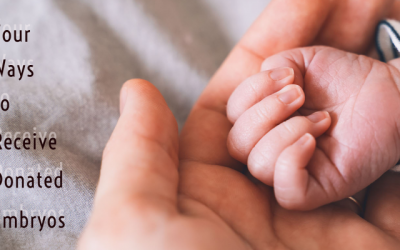 Four Options to Receive Donated Embryos