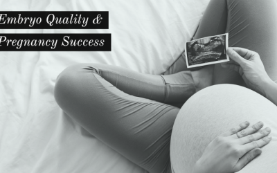 Embryo Quality and Pregnancy Success