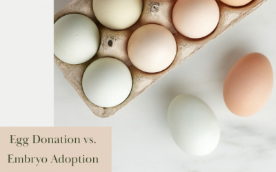 Egg Donation vs. Embryo Adoption
