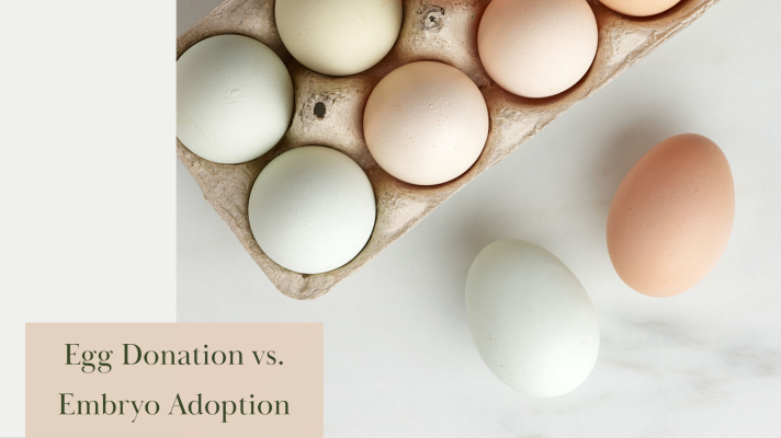 Egg Donation vs. Embryo Adoption