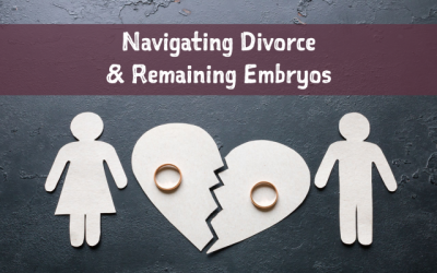 Navigating Divorce & Remaining Embryos