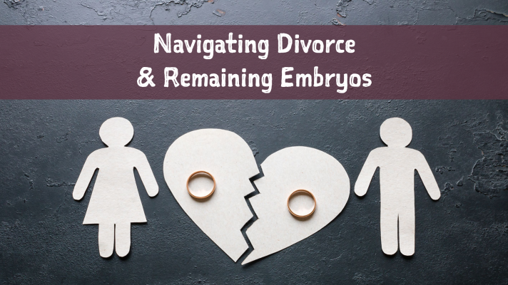 Navigating Divorce & Remaining Embryos