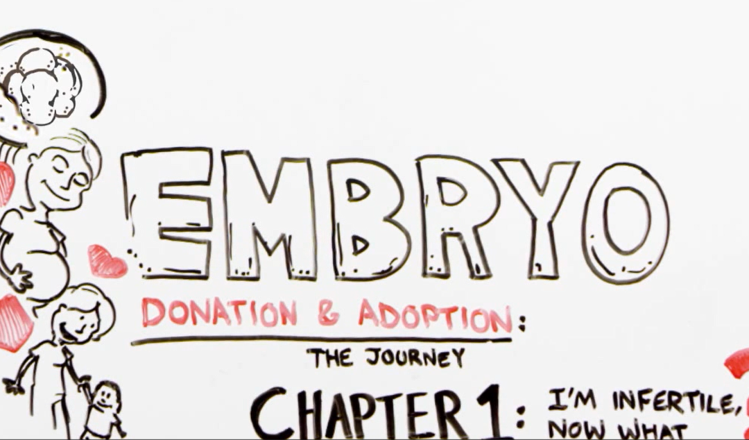 Embryo Donation & Adoption: The Journey Chapter 1