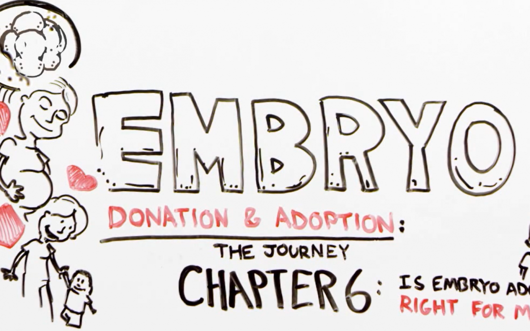 embryo donation and adoption chapter 6