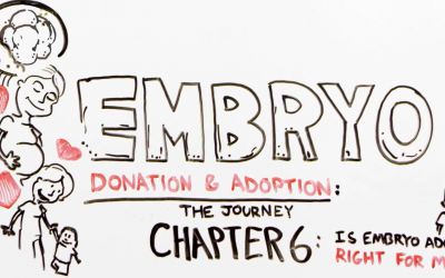 The Journey through Embryo Adoption & Donation: Chapter 6
