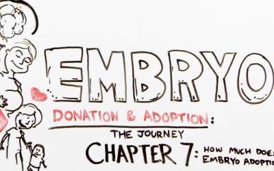 The Journey through Embryo Adoption & Donation: Chapter 7