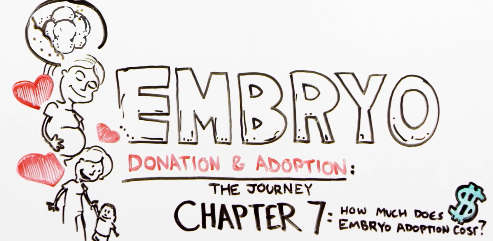 The Journey through Embryo Adoption & Donation Chapter 7