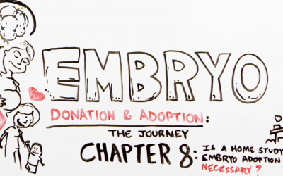 The Journey through Embryo Adoption & Donation: Chapter 8