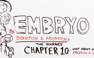 The Journey through Embryo Adoption & Donation: Chapter 10