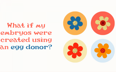 What if My Embryos Were Created with Donated Eggs?
