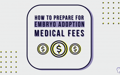 How to Prepare For Embryo Adoption Medical Fees