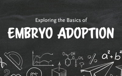 Exploring the Basics of Embryo Adoption