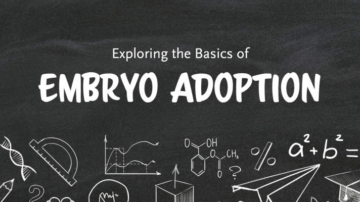 exploring the basics of embryo adoption