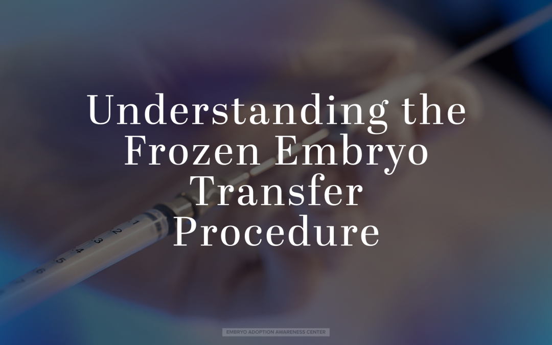 understanding the frozen embryo transfer procedure