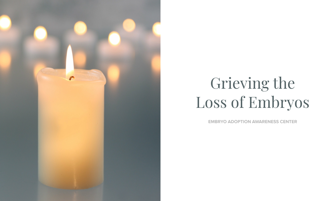 Grieving the loss of embryos