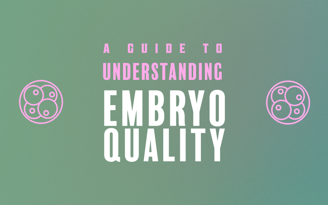 a guide to understanding embryo quality