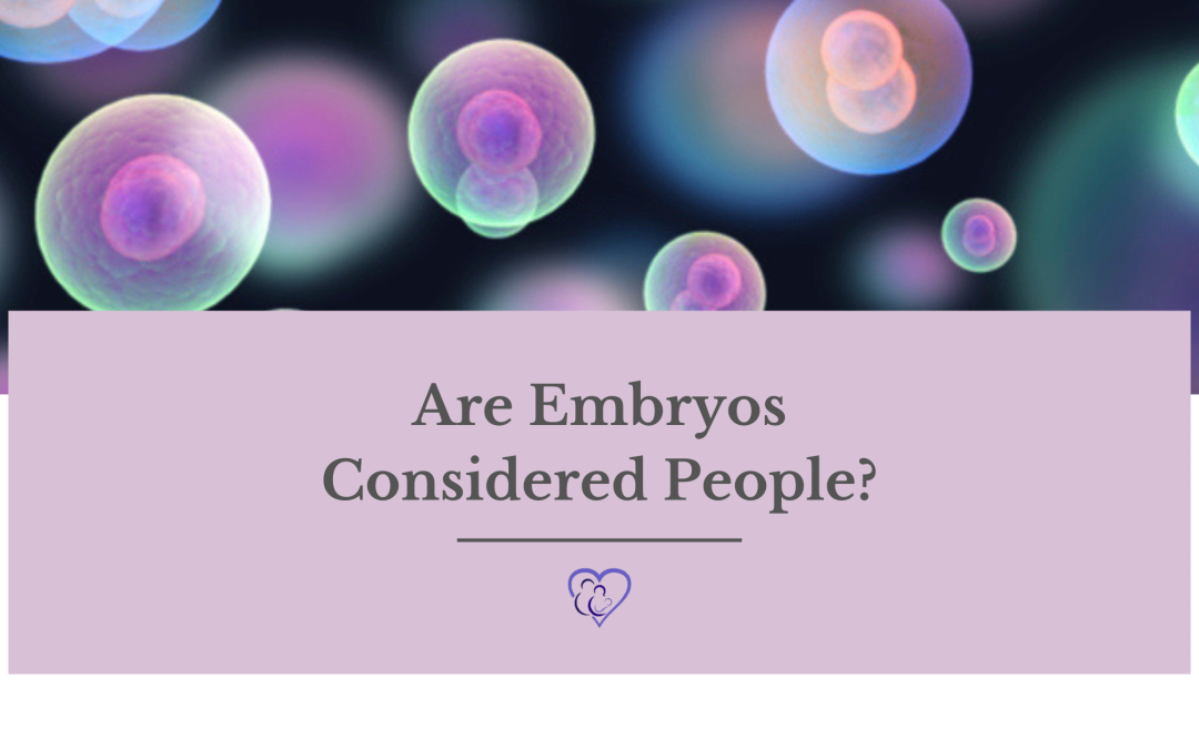 are embryos considered people?
