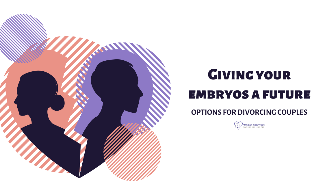 Giving Your Embryos a Future: Options for Divorcing Couples