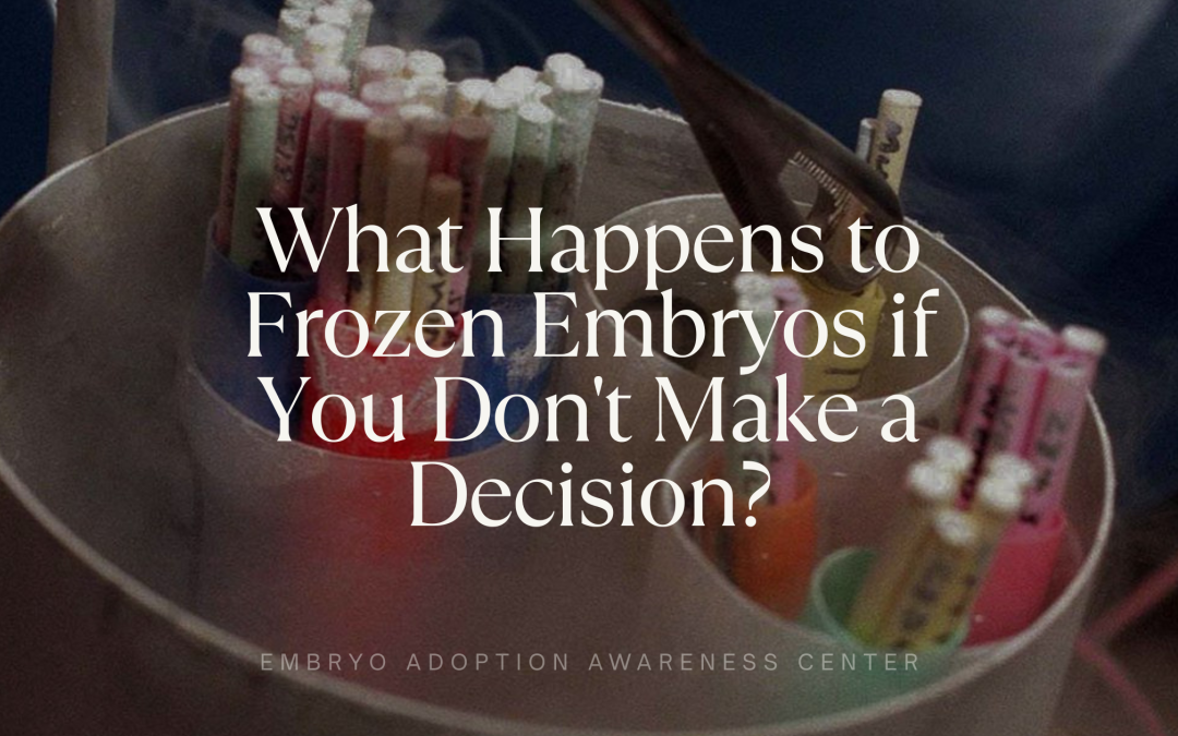 What Happens to Frozen Embryos if You Don't Make a Decision?